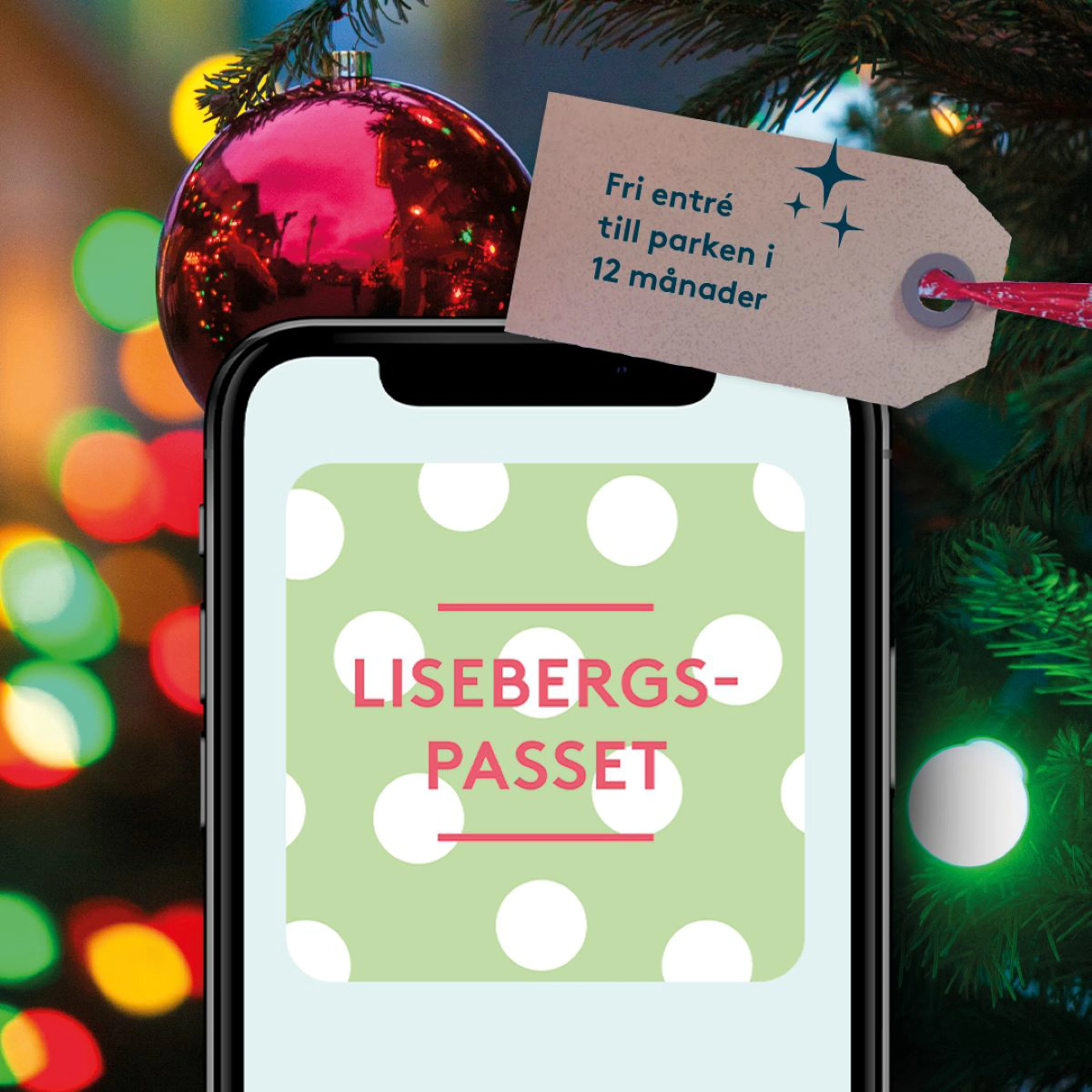 Lisebergspasset 2022.