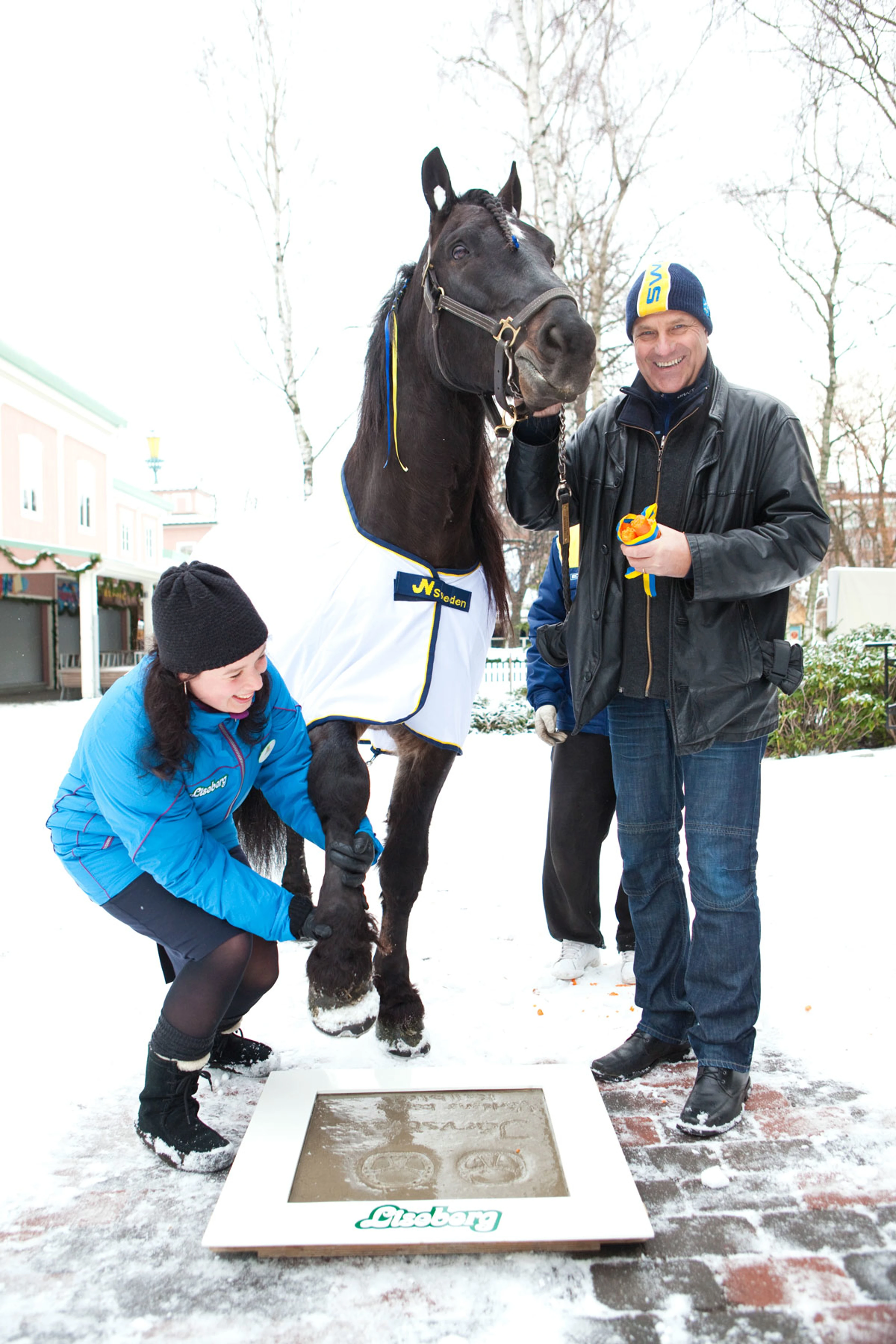 Travhästen Järvsöfaks lämnar sitt hovavtryck till Hedersplatsen 2009.
